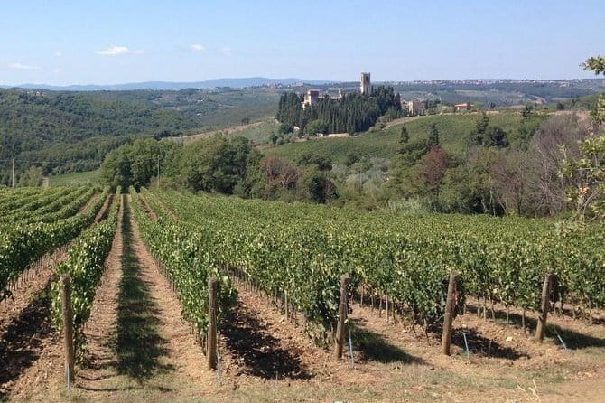 Chianti Wine Tour - Private Wine experience in Tuscany Countryside - Greve offers a taste of everyday Chianti