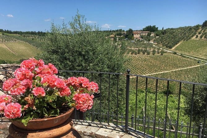 Chianti Wine Tour - Private Wine experience in Tuscany Countryside - Castellina adds vineyards and a second producer