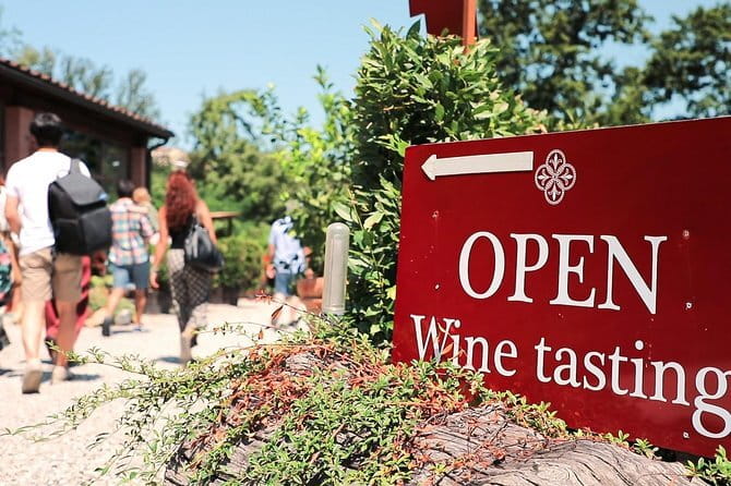 Chianti Wine Tour: Two Wine Tastings, Vineyards and Cellar Visit - Key points at a glance