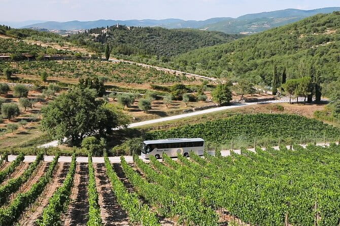 Chianti Wine Tour: Two Wine Tastings, Vineyards and Cellar Visit - The first organic winery and its local table