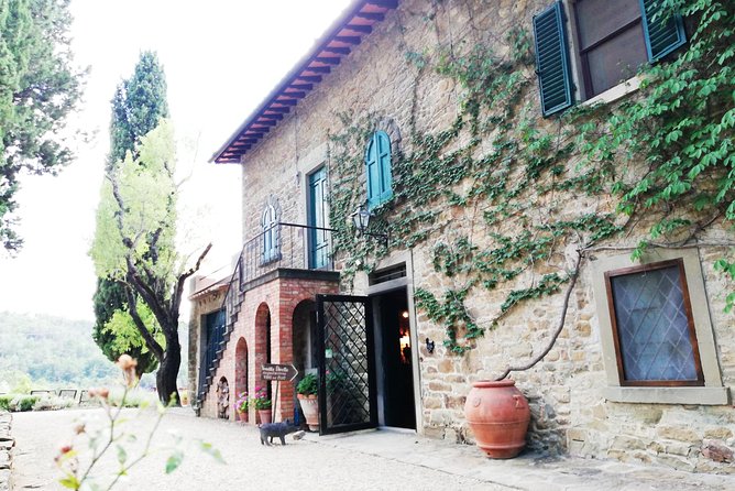 Chianti Wine Tour with Tuscan Lunch Open Top Van - Who should book this experience?