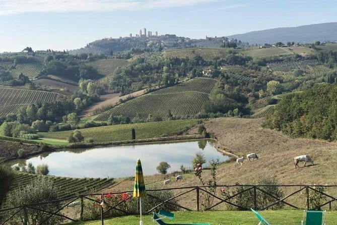 Chianti Wineries Tour with Tuscan Lunch and San Gimignano - A full Tuscan day from central Florence