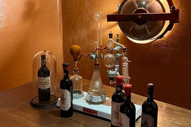 Chianti Winery + Brolio Castle Private Tour - From Florence to the Chianti hills