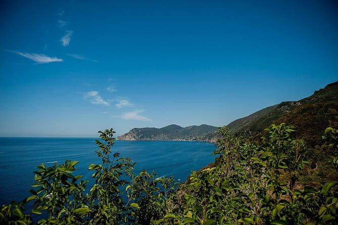 Cinque Terre Day Trip with Optional Hiking or Pisa - Choosing the hike, trains, or Pisa