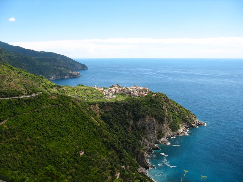 Cinque Terre Private Day Trip from Florence - The drive toward Corniglia and the terraced hills