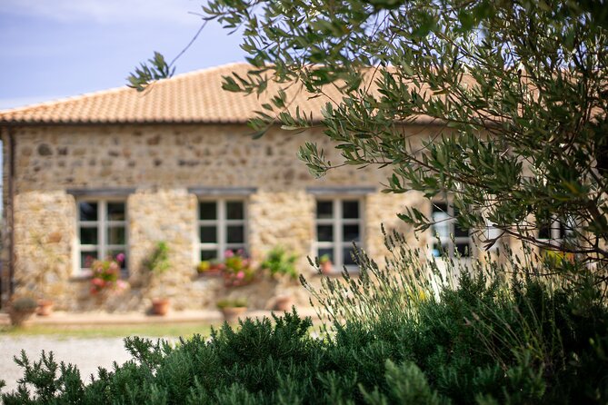 Classic Wine Tasting in Montalcino - How the Three Flights Work