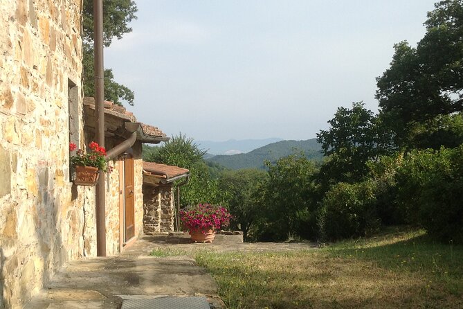 Cooking Class for Pasta Lovers in Florence Country House - Who will enjoy this class most?