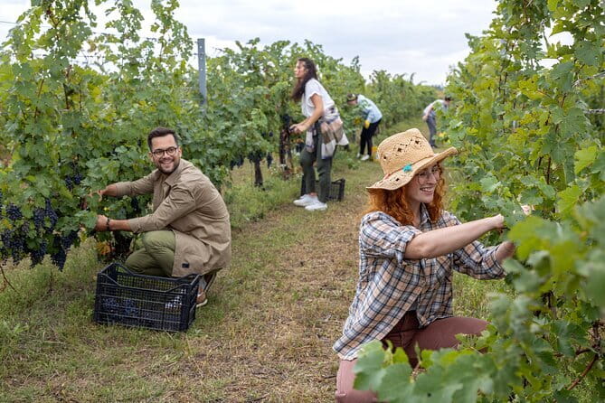 Discover Chianti Through its Wines - A generous Tuscan snack, not just a garnish