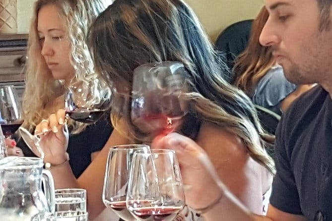 Discover Chianti Through its Wines - Arriving at Fattoria Casa Sola