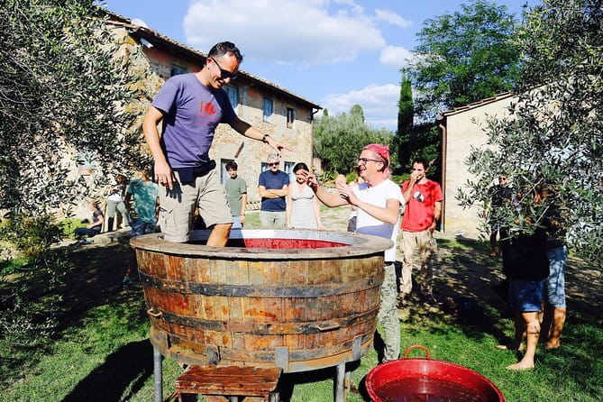Discover Organic and Biodynamic Chianti Small Wineries - Why this Chianti day feels different