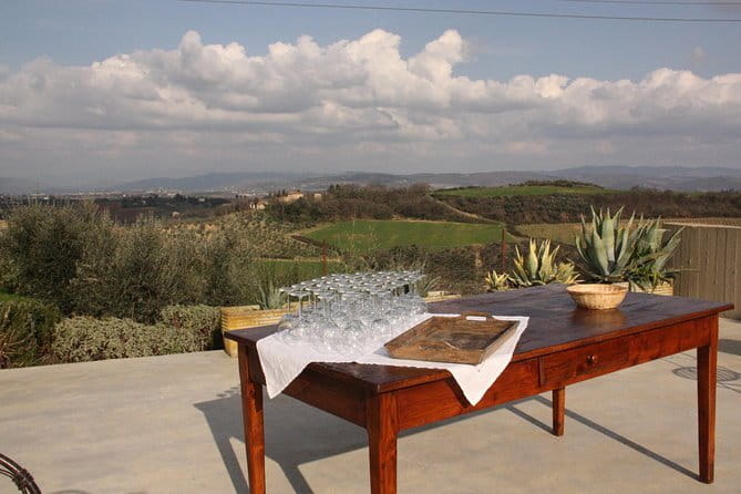 Discover Organic and Biodynamic Chianti Small Wineries - Who should book this experience?