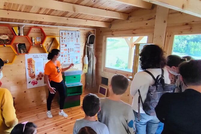 Discovering Bees in Volterra - Who will enjoy the 90-minute visit most