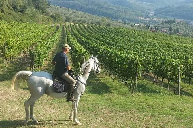 E-bike 2.5 hour Florence & Tuscany With Fresh Olive Oil and Bread - How easy is the e-bike ride?