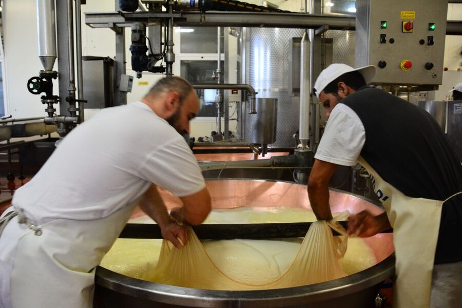 Emila-Romagna: Parmigiano, Prosciutto, Wine & Balsamic Tour - Booking value, flexibility, and practical limits