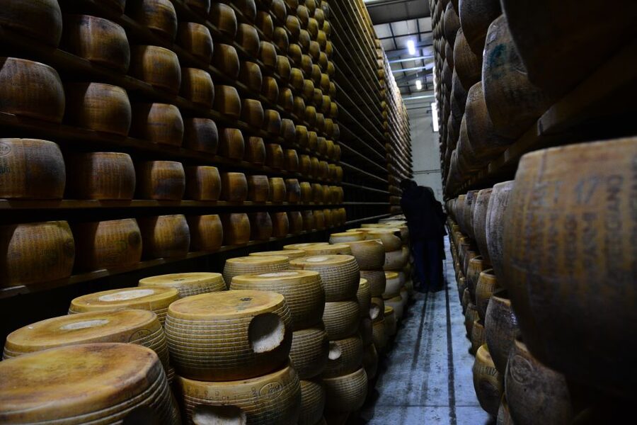 Emila-Romagna: Parmigiano, Prosciutto, Wine & Balsamic Tour - Why this Emilia-Romagna food tour is worth the long drive