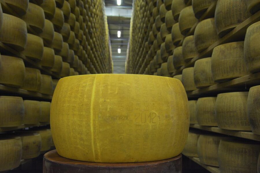 Emila-Romagna: Parmigiano, Prosciutto, Wine & Balsamic Tour - Cooperativa San Silvestro and the making of Parmigiano