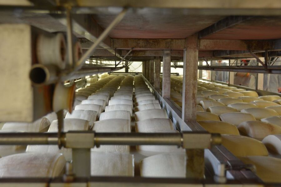 Emila-Romagna: Parmigiano, Prosciutto, Wine & Balsamic Tour - Villabianca, traditional balsamic, and a proper local lunch