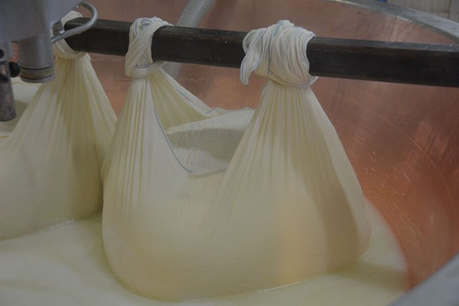 Emila-Romagna: Parmigiano, Prosciutto, Wine & Balsamic Tour - Casona and the prosciutto tasting