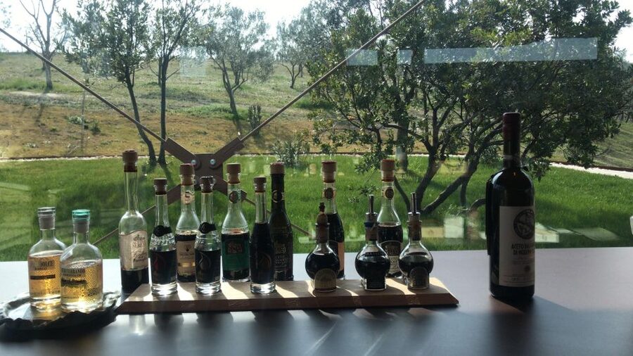 Emila-Romagna: Parmigiano, Prosciutto, Wine & Balsamic Tour - Who should book this experience?