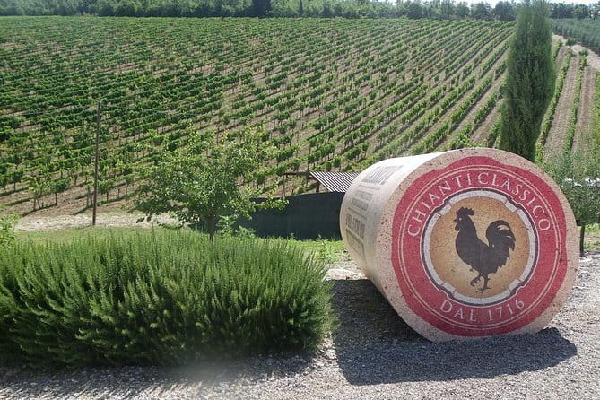 Essence of Chianti Small Group Tour with Lunch and Tastings from Florence - Key points to know before booking