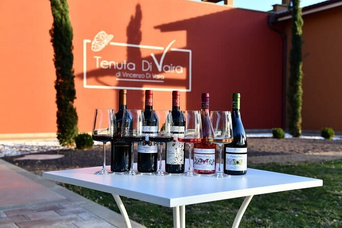 Exclusive Bolgheri from Florence: The Land of the Super Tuscan - The first winery, from grapevine to aging room