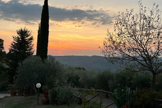 Exclusive Chianti Classico Day Trip from Florence - Why this private Chianti day works so well