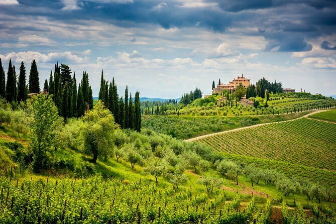 Exclusive Chianti Classico Day Trip from Florence - The guide makes the private format worthwhile