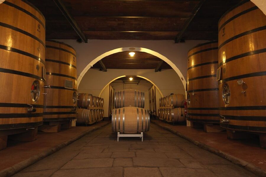 Exclusive Chianti Rufina Half-Day with lunch from Florence - Key points at a glance