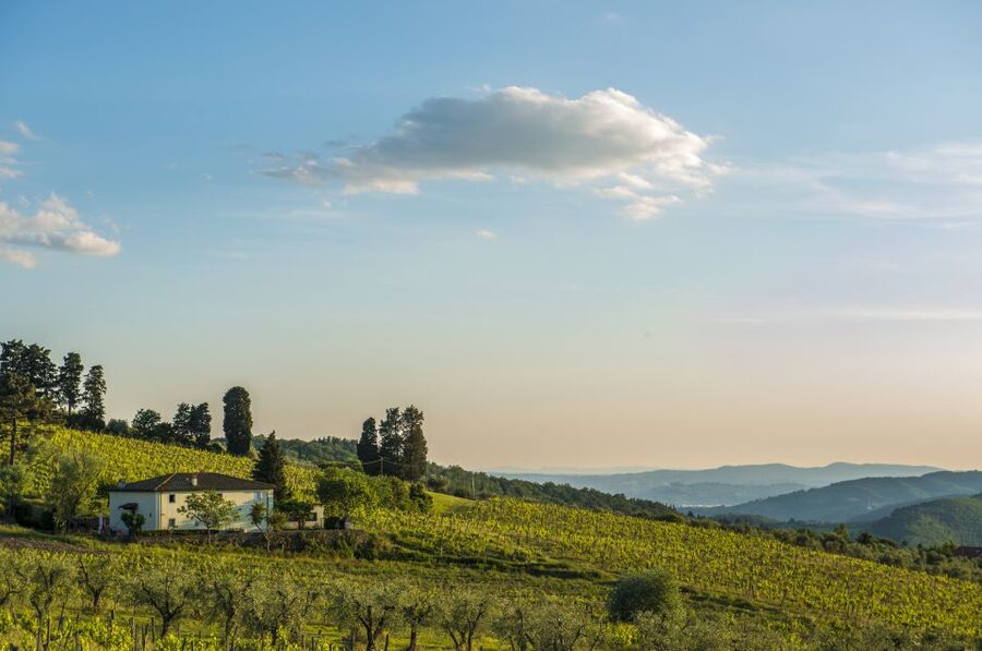 Exclusive Chianti Rufina Half-Day with lunch from Florence - Why Chianti Rufina feels different from central Tuscany