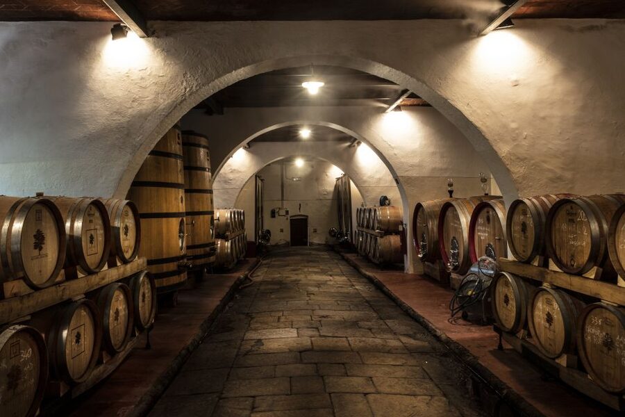 Exclusive Chianti Rufina Half-Day with lunch from Florence - First stop: 105 minutes at Tenuta di Grignano