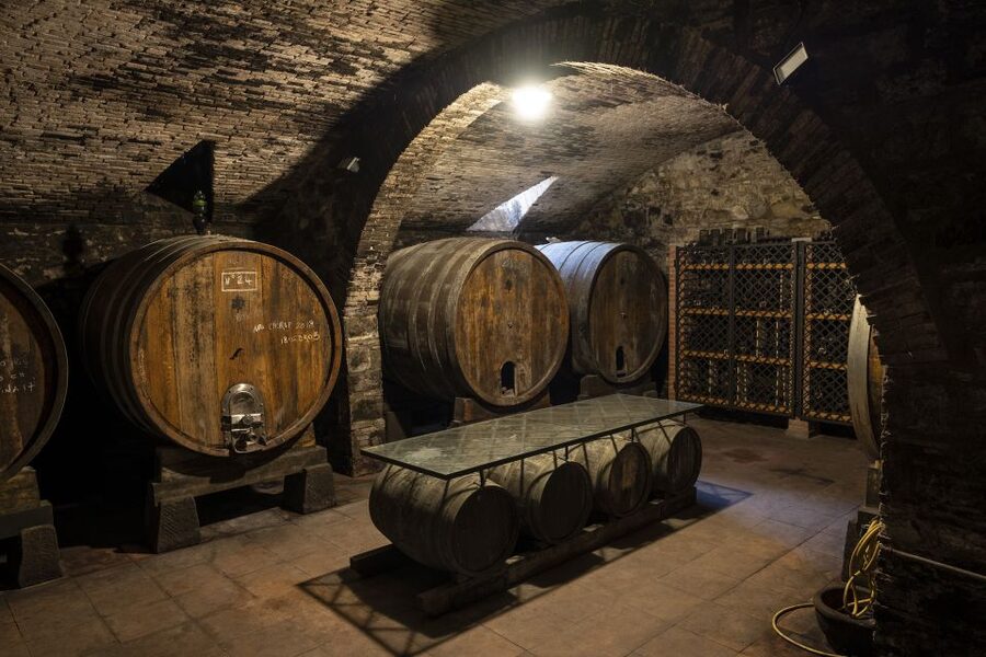Exclusive Chianti Rufina Half-Day with lunch from Florence - Tenuta Bossi combines tasting and lunch