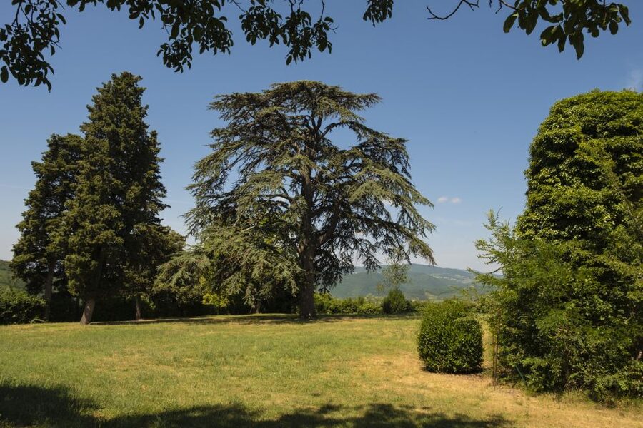 Exclusive Chianti Rufina Half-Day with lunch from Florence - Timing, comfort, and access