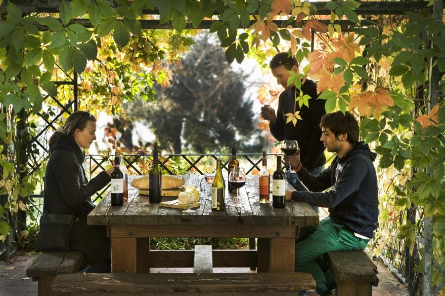 Exclusive Chianti Rufina Half-Day with lunch from Florence - How the price compares with the experience