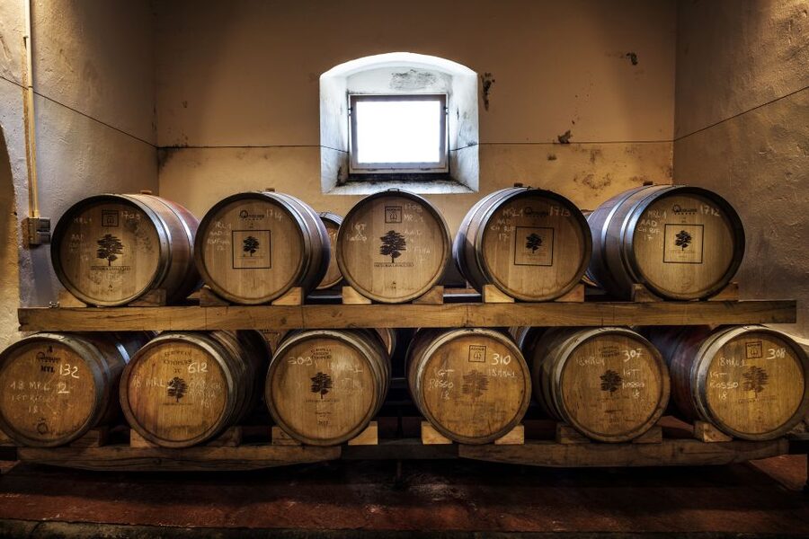 Exclusive Chianti Rufina Half-Day with lunch from Florence - Who will get the most from this outing