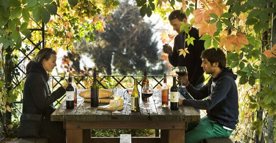Exclusive Chianti Rufina Half-Day with lunch from Florence - Leaving Florence by private car