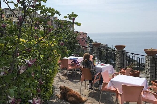Exclusive Cinque Terre by Ferry with stop in Pisa from Florence - What the guides add to the day
