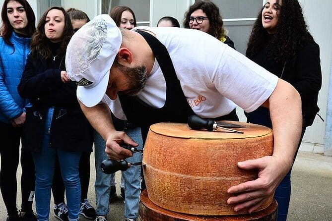 Exclusive Emilia-Romagna,Parmigiano, Prosciutto, Balsamic, Wine - Lunch and traditional balsamic vinegar at Acetaia Sereni