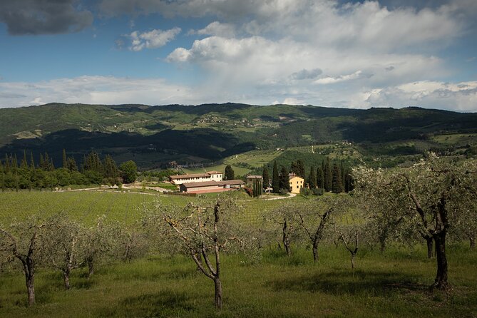 Exclusive lunch, Winery tour, Organic wines in Chianti Classico - The four-course lunch is a major part of the value