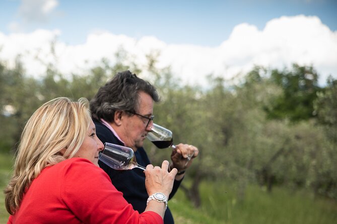 Exclusive lunch, Winery tour, Organic wines in Chianti Classico - Timing, access, and practical planning