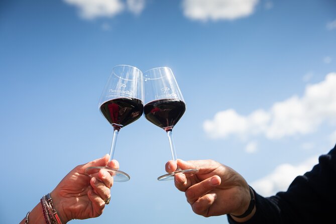 Exclusive lunch, Winery tour, Organic wines in Chianti Classico - Who will enjoy this estate visit most
