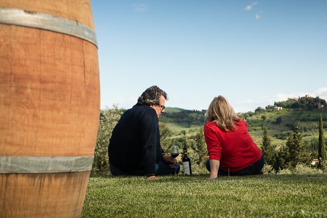 Exclusive lunch, Winery tour, Organic wines in Chianti Classico - Should you book Panzanello?