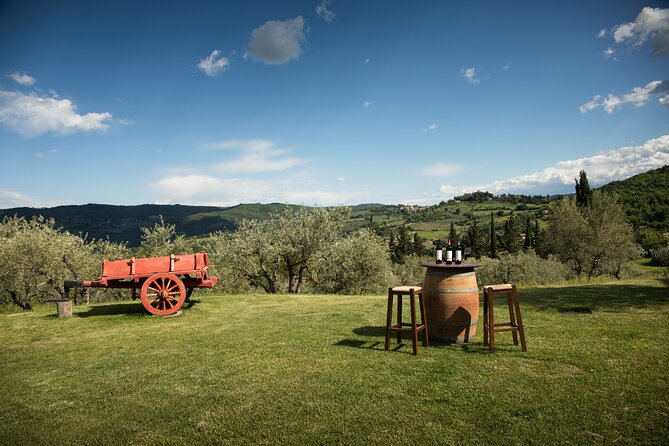 Exclusive lunch, Winery tour, Organic wines in Chianti Classico - Organic Chianti wines with useful explanations