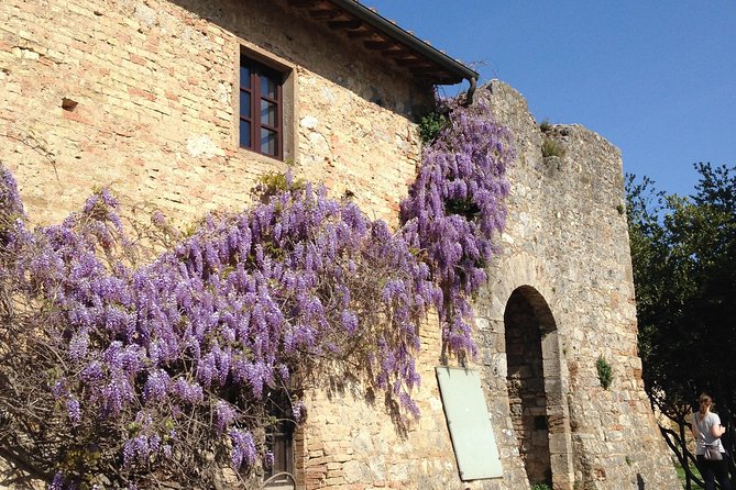 Exclusive Private tour To Siena and San Gimignano - Key points to know before booking