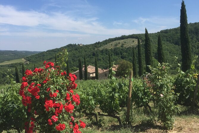 Exclusive Private tour To Siena and San Gimignano - What the driver service adds