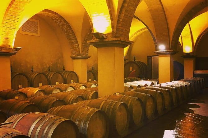 Exclusive Private Tuscany Wine Tour & Food Pairing Session - What makes this day worth considering