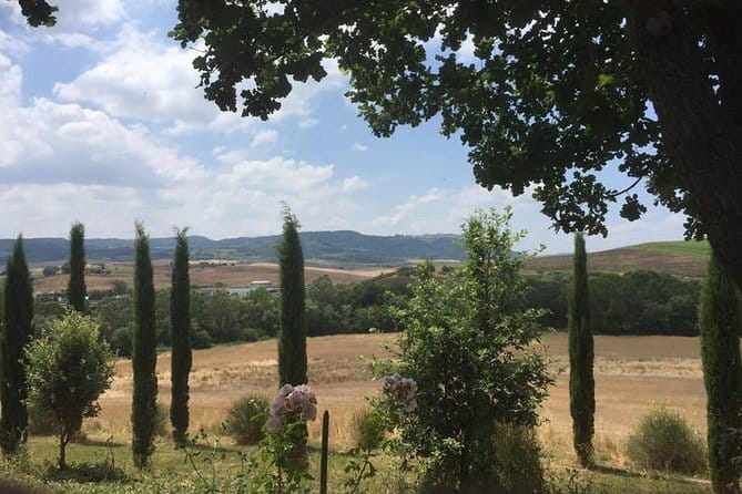 Exclusive Private Tuscany Wine Tour & Food Pairing Session - The food pairing is a real part of the experience