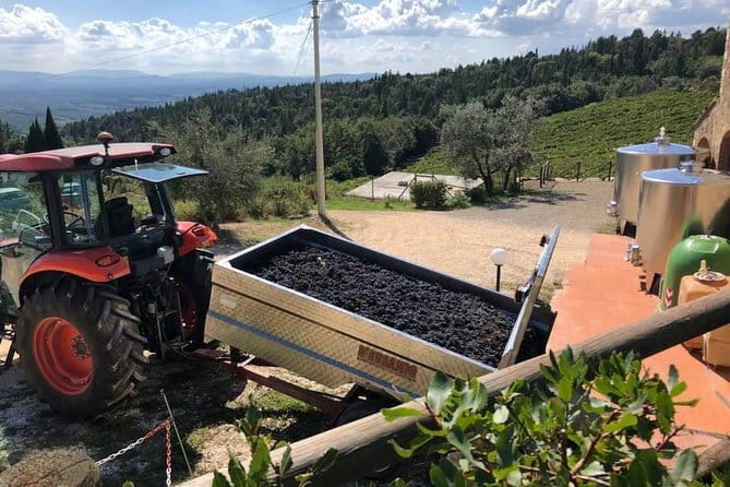Exclusive Private Tuscany Wine Tour & Food Pairing Session - Three wineries, three different moods