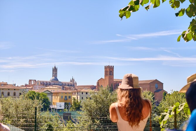 Exclusive Siena and San Gimignano Tour & Chianti Wine Experience - San Gimignano is made for free wandering