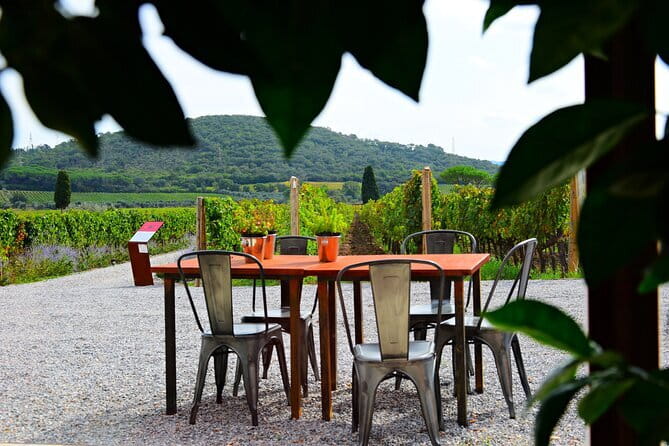 Exclusive Suvereto tour from Florence: Land of Elisa Bonaparte - Lunch and a walk through Suvereto