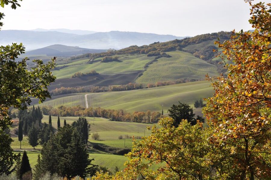 Exclusive Val d’Orcia Full-Day Wine Tour from Florence - Key points to know before booking